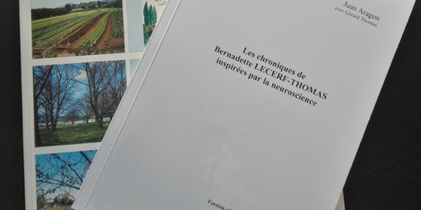 impression brochure montpellier